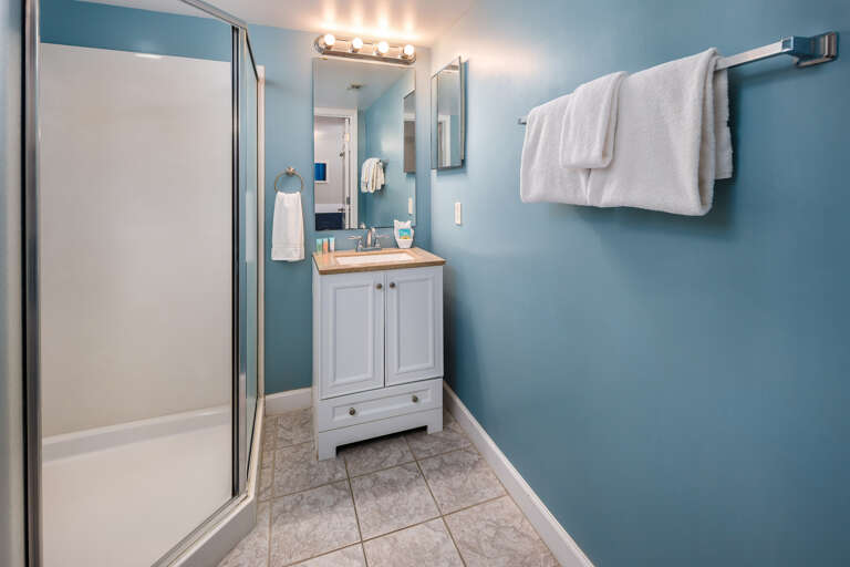 Full bath with walk in shower