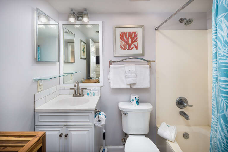 Shower/tub combo. Extra cabinetry and wall mounted blow dryer!