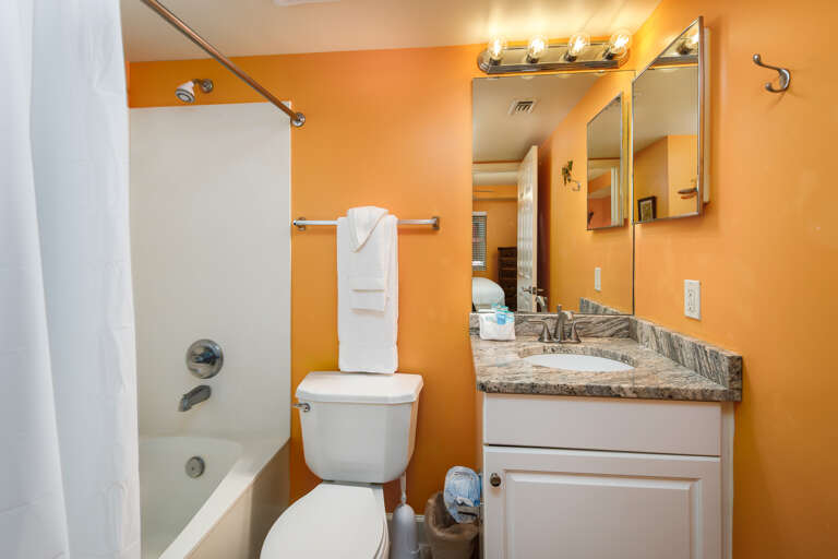 The master bath extends the tropical theme from the bedroom and the rest of the condo. 