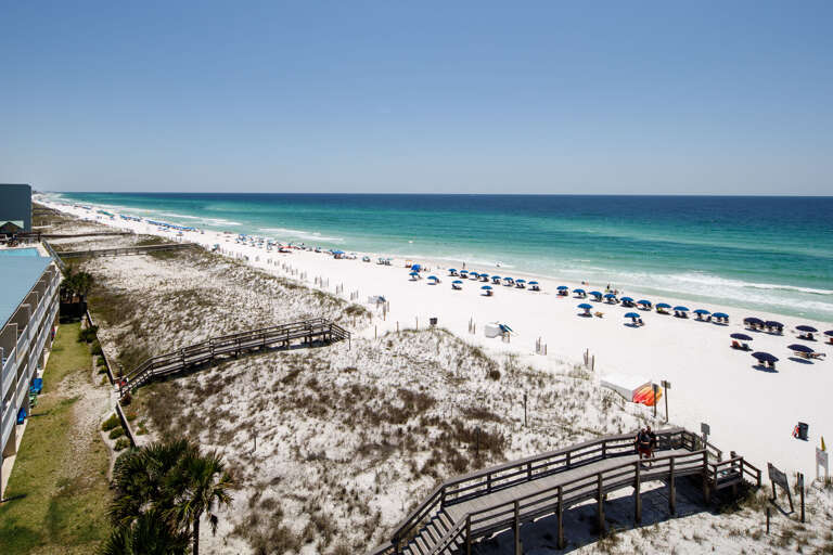 Spend time looking for dolphins 