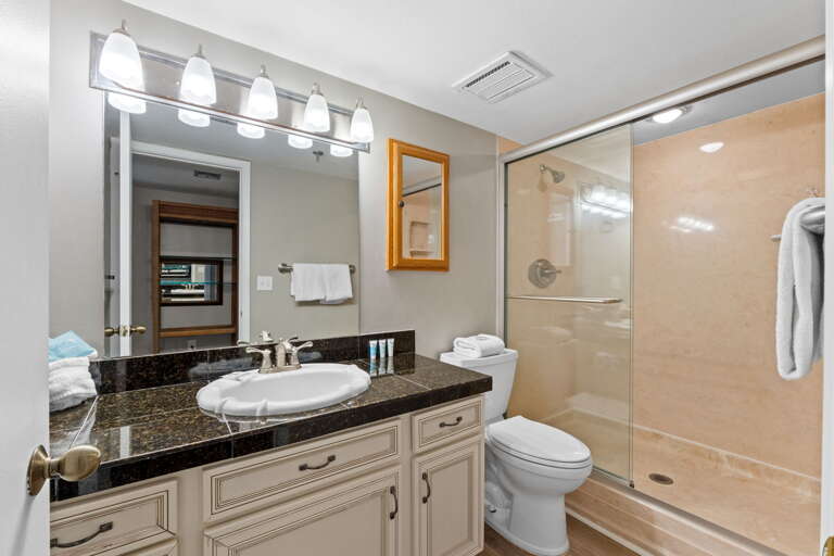 Walk-in shower with sliding glass door for extra convenience
