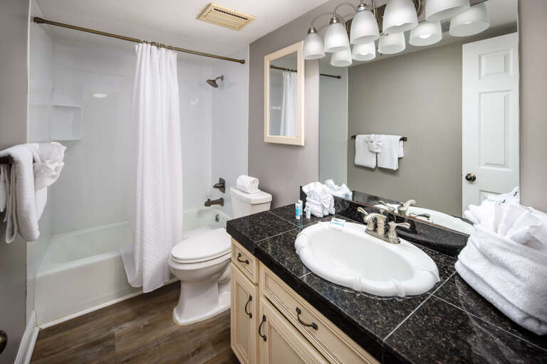 The guest bathroom features a shower/tub combo.