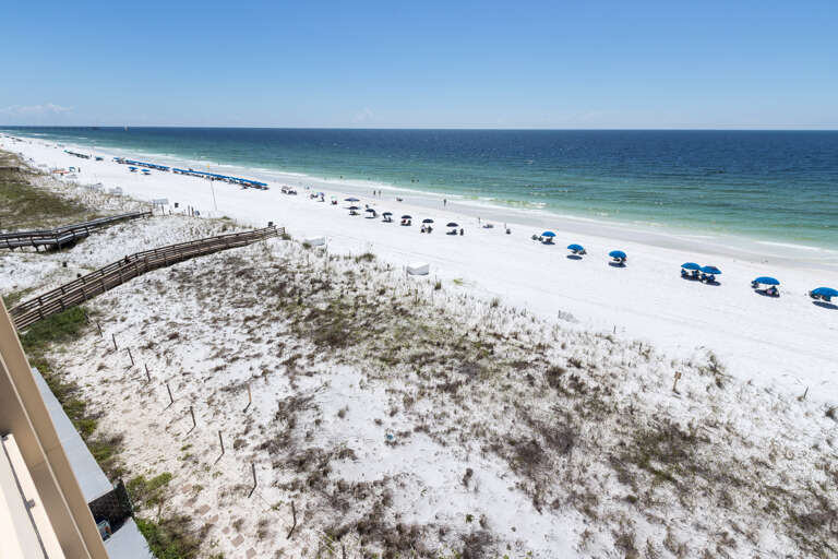 A bright view to the East