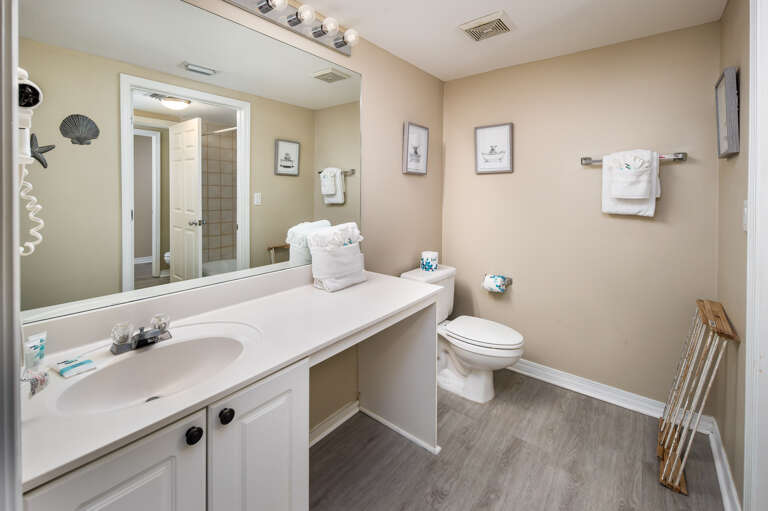 Adorable master bathroom