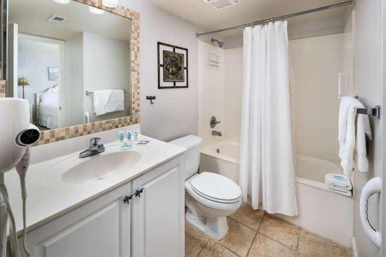 Shower/tub combination 