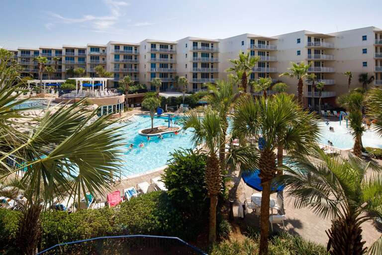 Palm trees and pool fun!