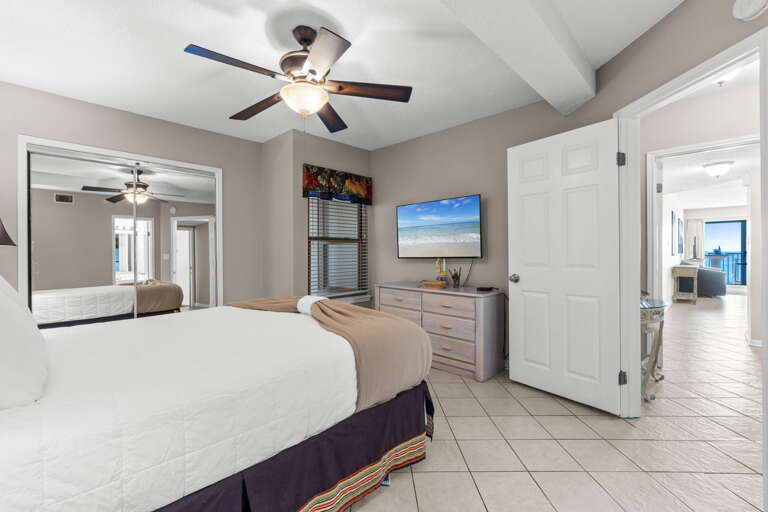 Smart TV and private bath entrance.