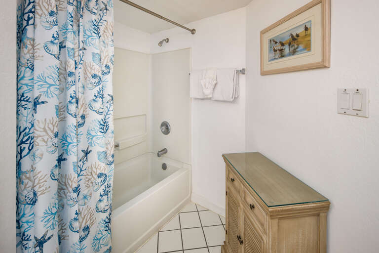 Tub/shower combo in the master bath Tub/shower combo in the master bath