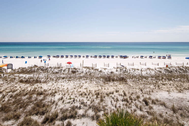 Sit back, relax, and enjoy the view