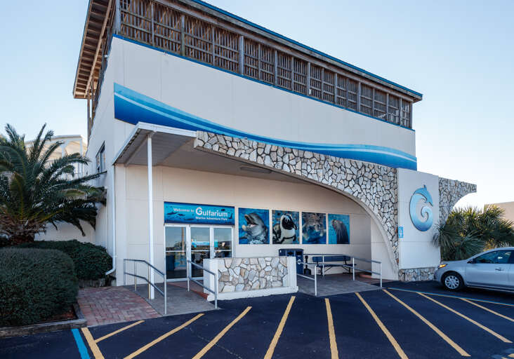 The famous Gulfarium conveniently located on Okaloosa Island offers fun for all family members. Stop by and check out the local marine life! 