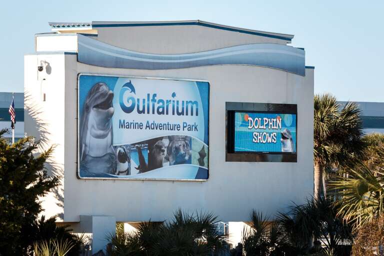 The famous Gulfarium, conveniently located on Okaloosa Island, offers fun for all family members. Stop by and check out the local marine life!  The famous Gulfarium, conveniently located on Okaloosa Island, offers fun for all family members. Stop by and check out the local marine life!