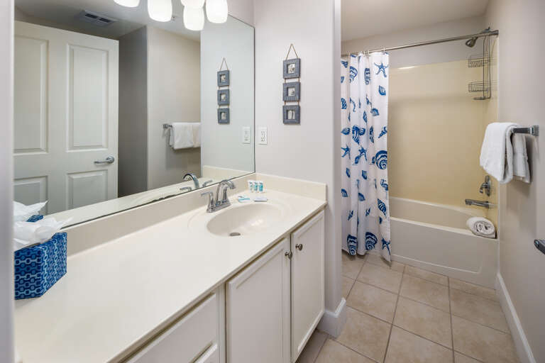Shower tub combination in the guest bathroom