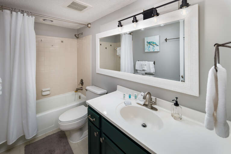 Shower tub combination 