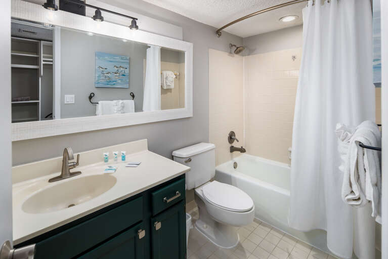 Shower tub combination