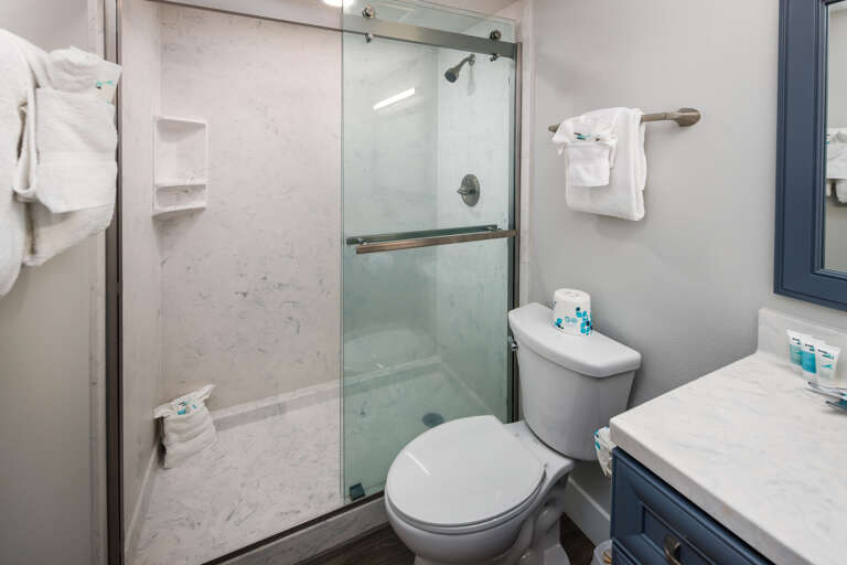 Bright, elegant master bathroom with a stunning countertop and luxurious walk-in shower.