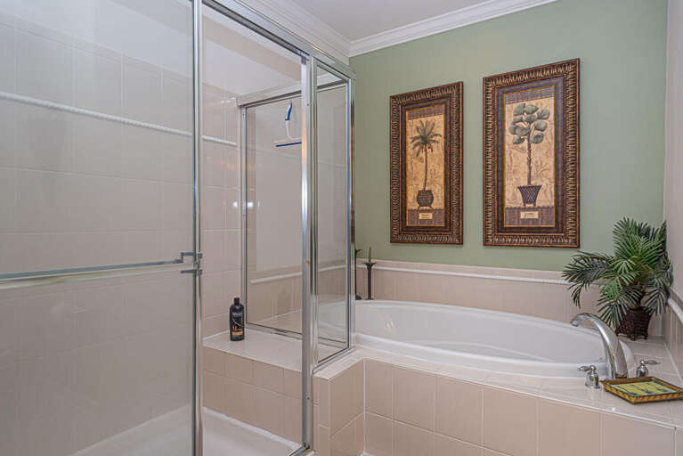 Master Bedroom Bathroom