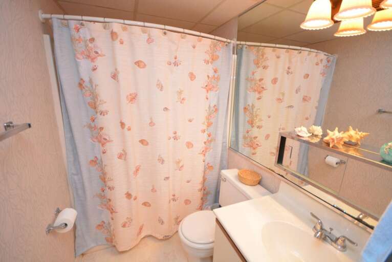 Second Full Bathroom in Hall