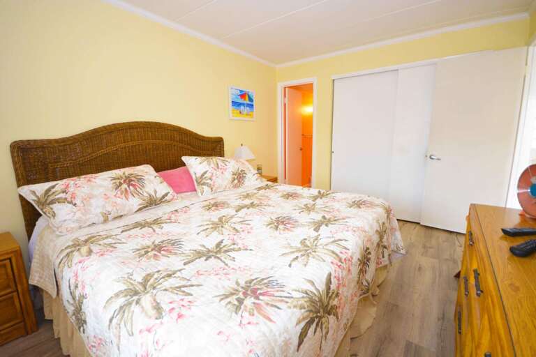 Master Bedroom with King