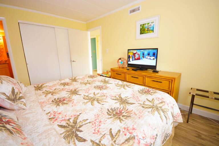 Master Bedroom with King