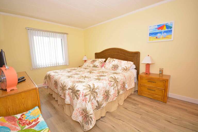 Master Bedroom with King