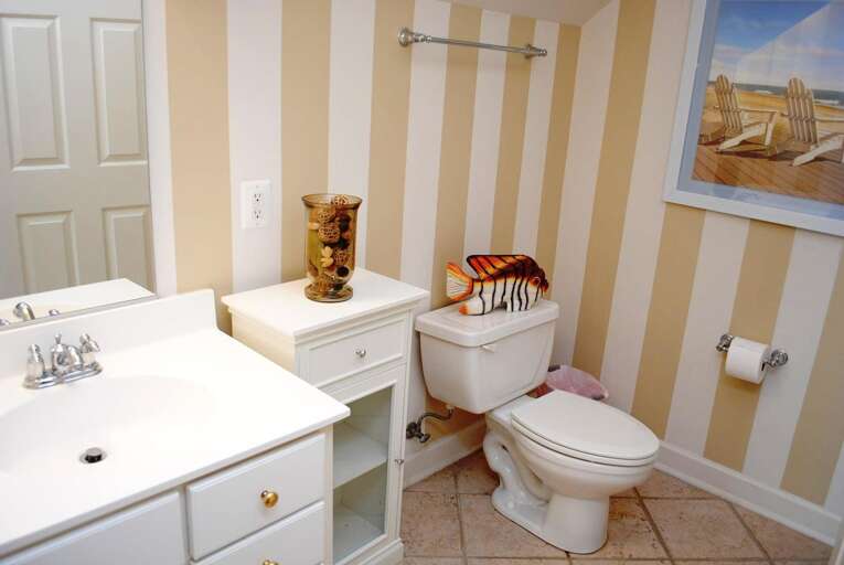 Bottom Floor Full Bathroom