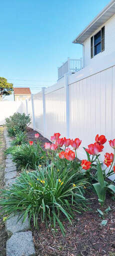 THE-YARD THE-YARD