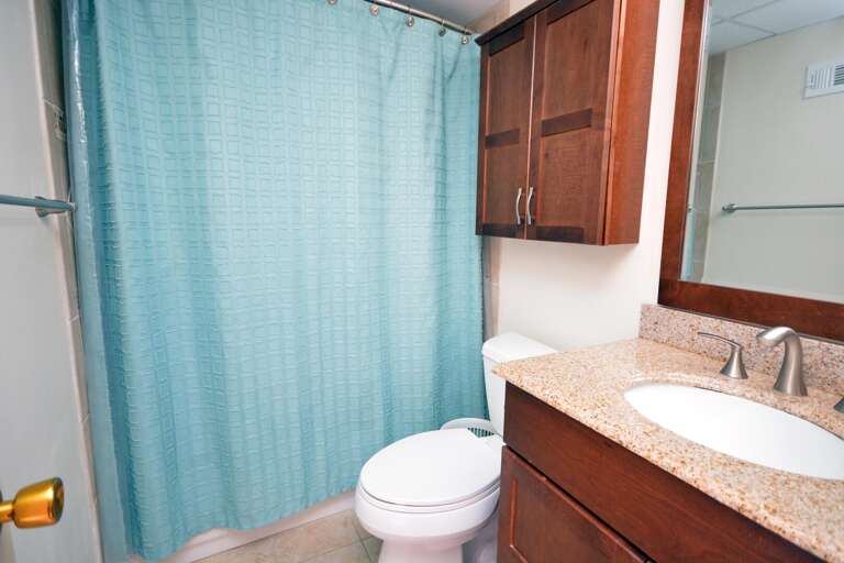 REMODELED-HALL-BATHROOM