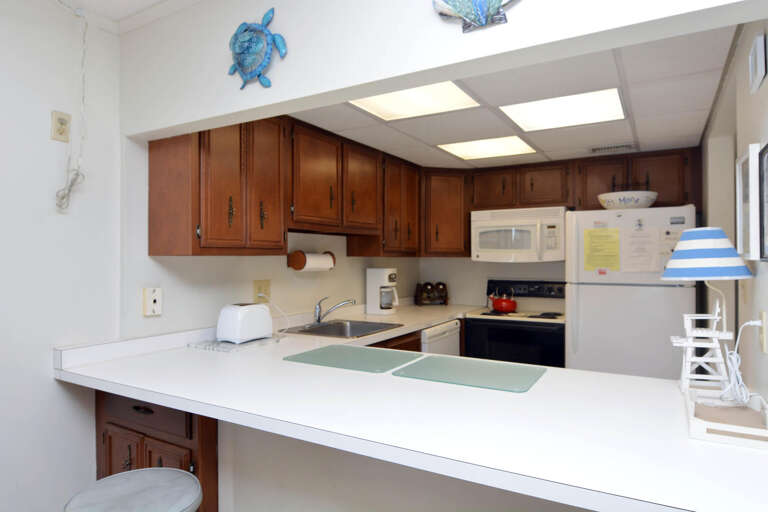 KITCHEN-AREA
