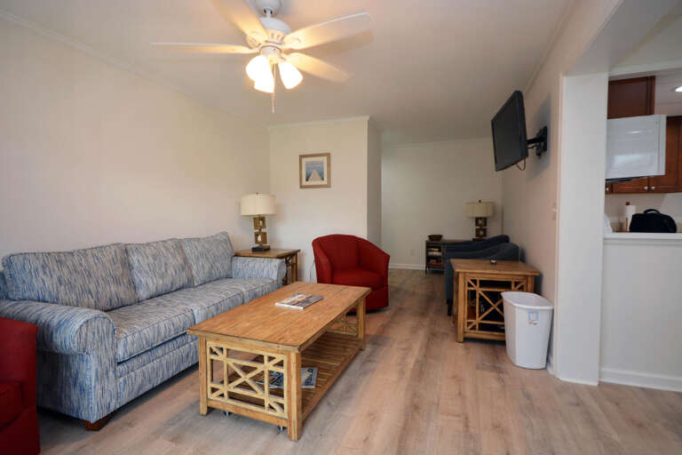 Gullway Villa 103-LIVING-AREA