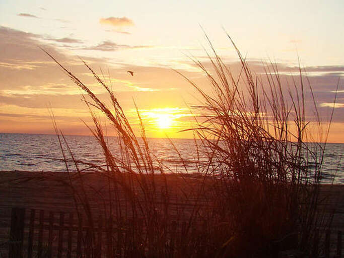 Sunrise in Ocean City 