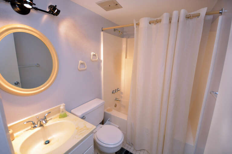 Full-Hall-Bathroom Full-Hall-Bathroom