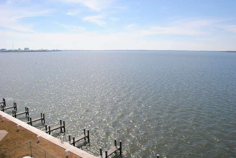 Ponte Vista 513- Balcony View