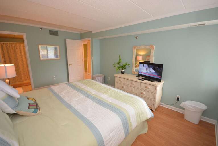 Master Bedroom with King