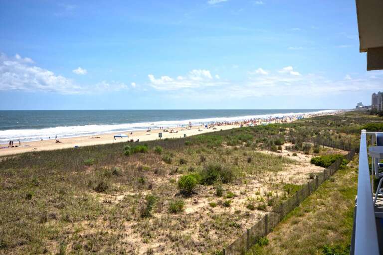 Balcony View From Balcony