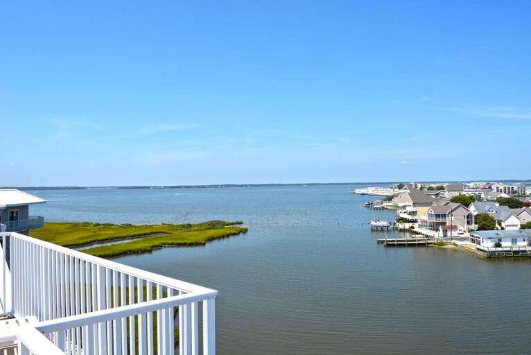 View of Bay from Rooftop Pool