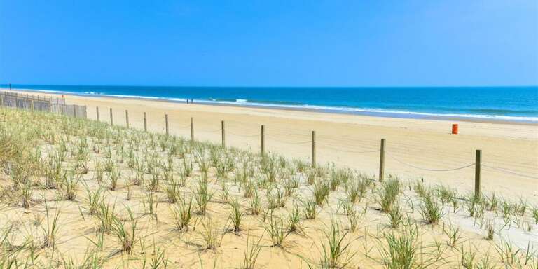 Pathway to Beach from Diamond Head Pathway to Beach from Diamond Head