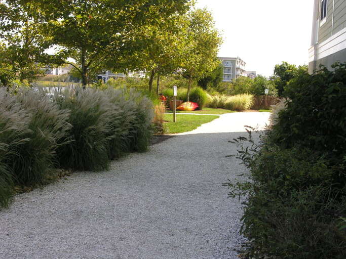 Walking and Jogging path at Sunset Island Walking and Jogging path at Sunset Island