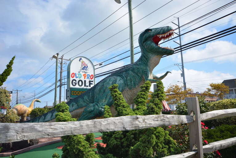 Old Pro Mini Golf Old Pro Mini Golf