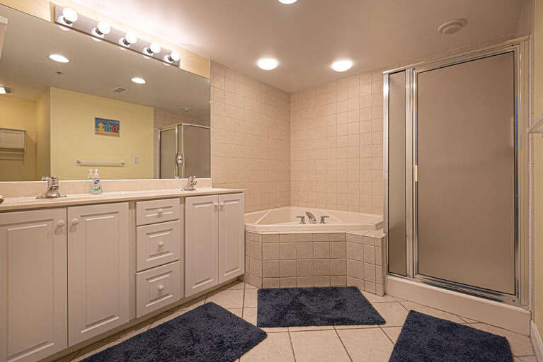 Master Bathroom Unit 201 Master Bathroom Unit 201