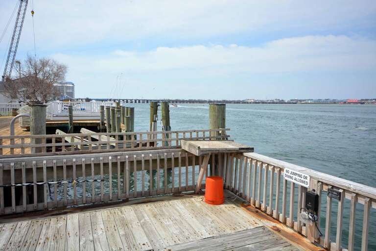 FISH-CLEANING-STATION