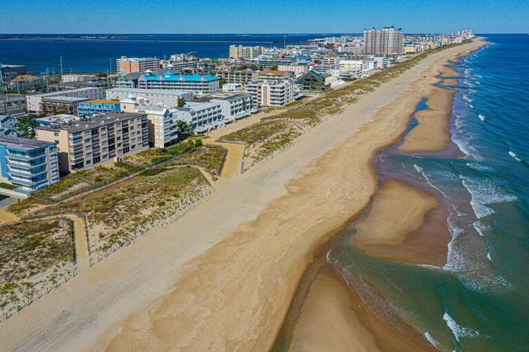 Amber Waves 500-Beach