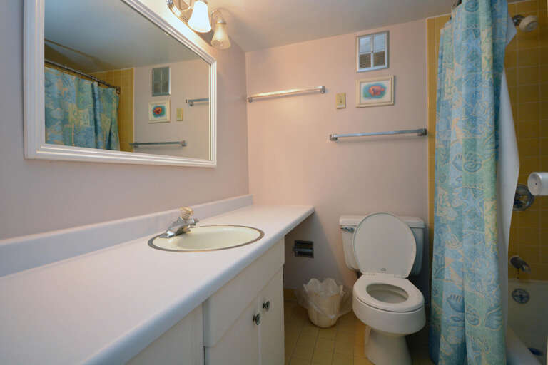 MASTER-BATHROOM MASTER-BATHROOM