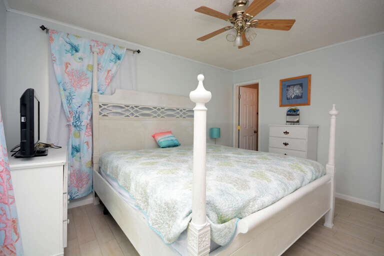 KING-MASTER KING-MASTER