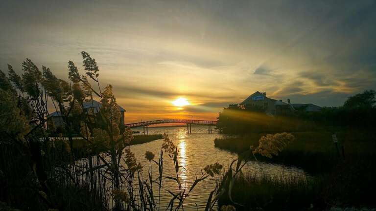 NIGHT-VIEW-SUNSET