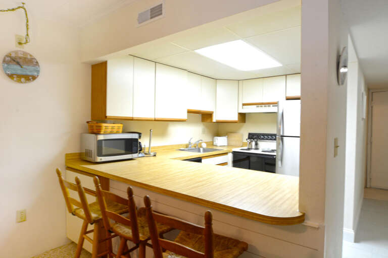 KITCHEN-AREA