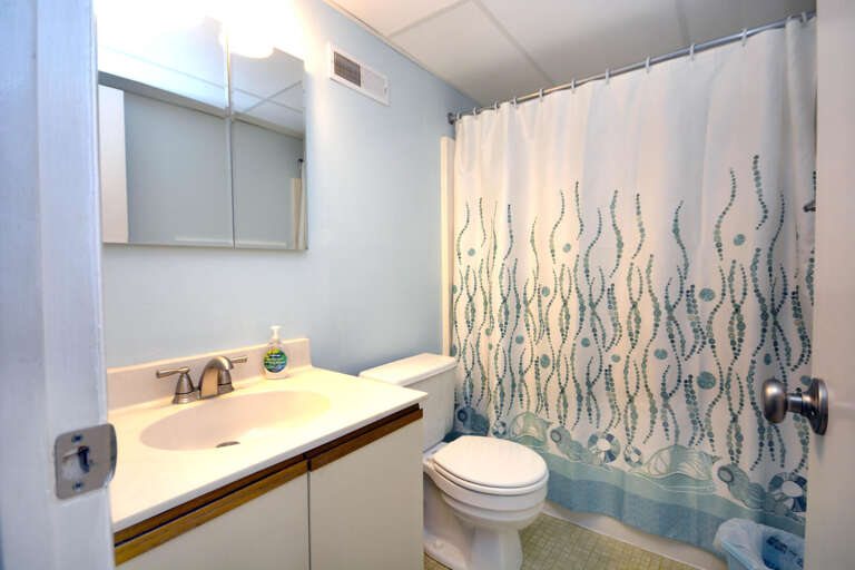 MASTER BATHROM 
