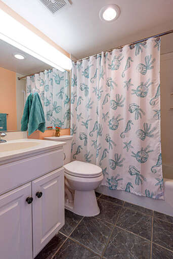 UPSTAIRS-MASTER-BATHROOM