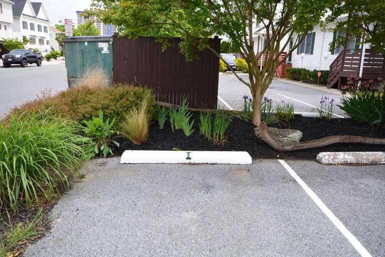 Parking for Skip Jack 135-I