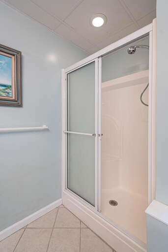 Master Bath Shower Master Bath Shower