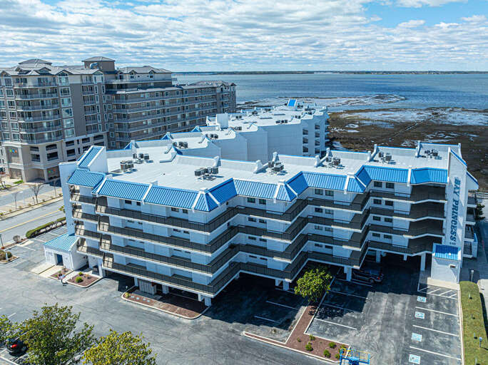 DRONE-OF-BAY-PRINCESS